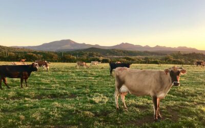 Lawsuit Demands BLM Step Up Range Health Protections